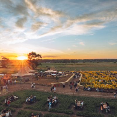 Campo Solar